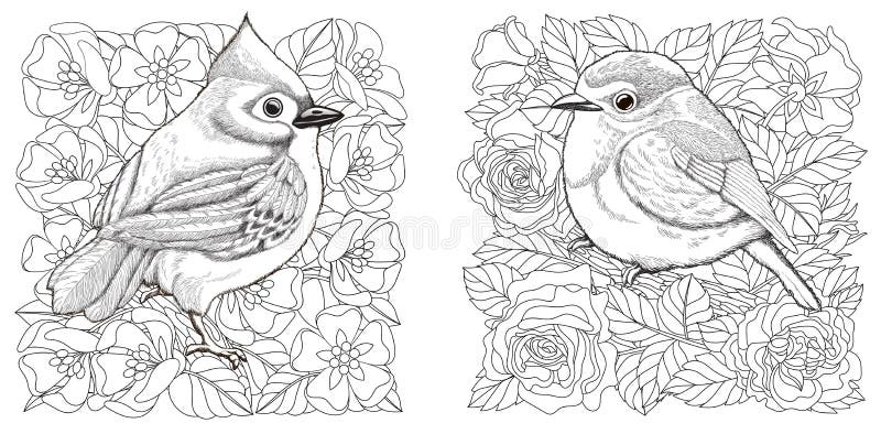 Coloring pages with birds and flowers stock vector