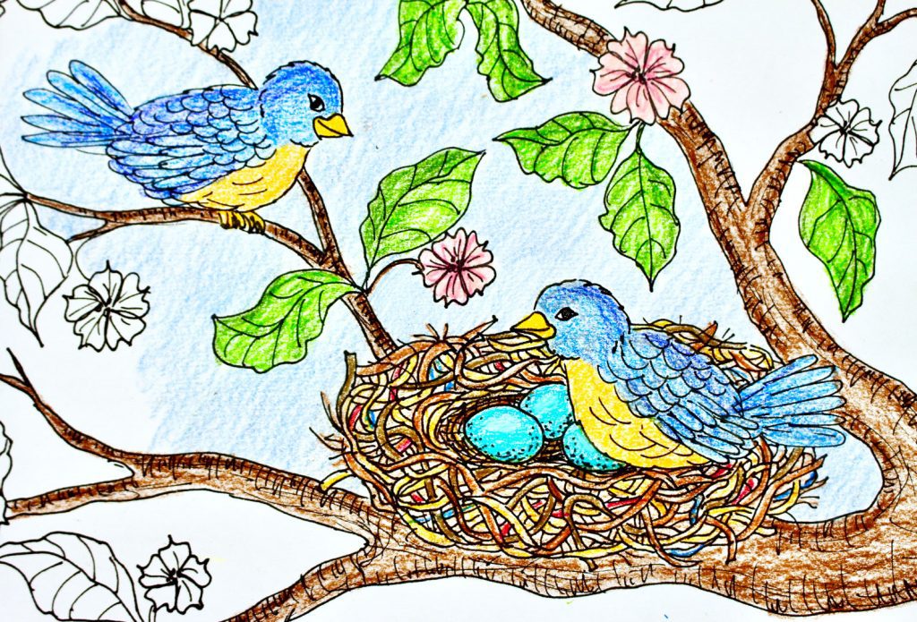 Free april baby birds coloring page