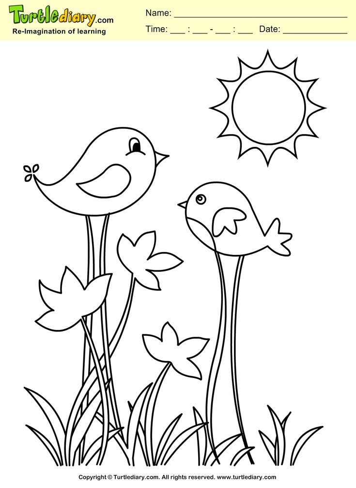 Spring bird coloring page coloring sheet bird coloring pages spring coloring pages coloring pages