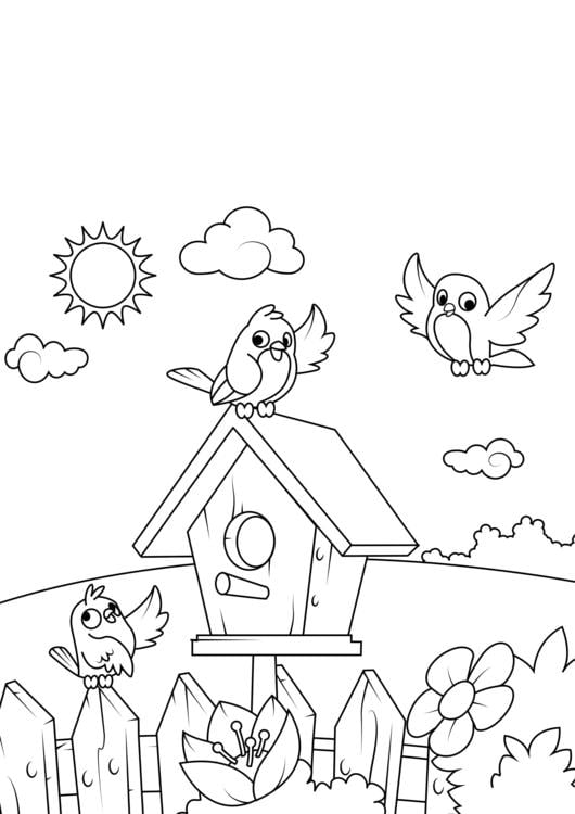 Coloring page spring birdhouse