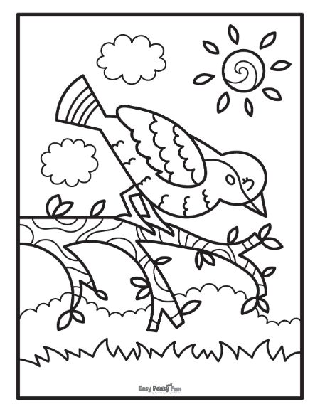 Printable bird coloring pages