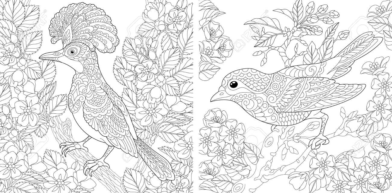 Adult coloring pages beautiful birds in the spring garden line art design for antistress colouring book in zentangle style vector illustration royalty free svg cliparts vectors and stock illustration image