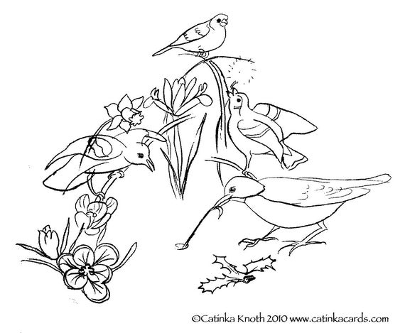 Spring birds flowers coloring page printable pdf wall art print digital download catinka knoth