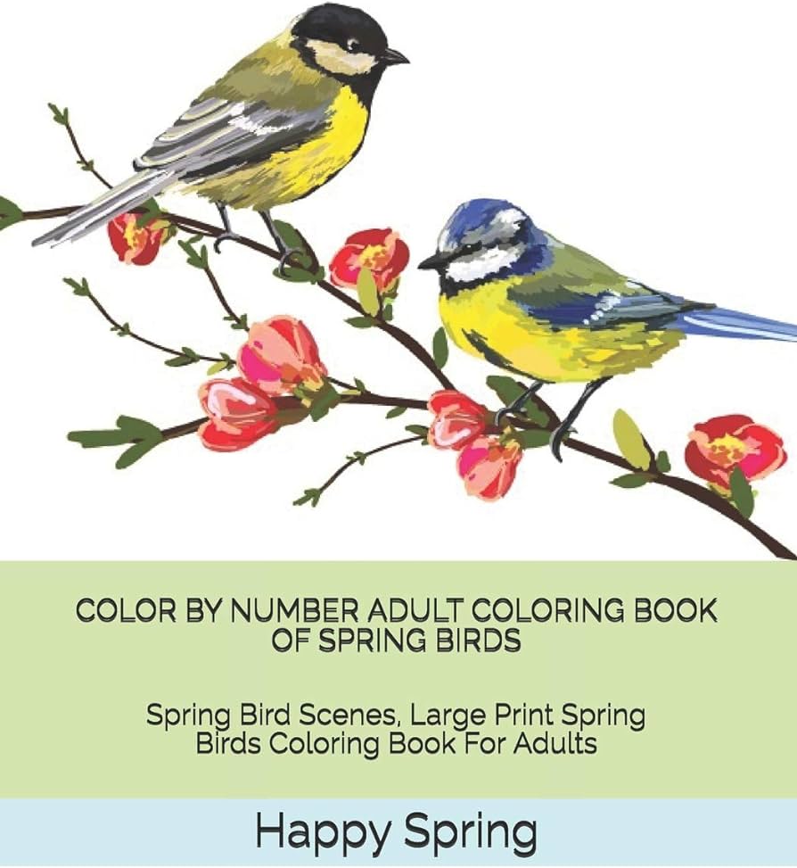 Lor by number adult loring book of spring birds spring bird scenes large print spring birds loring book for adults adult lor by number loring books spring happy books