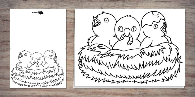 Baby birds spring colouring card party