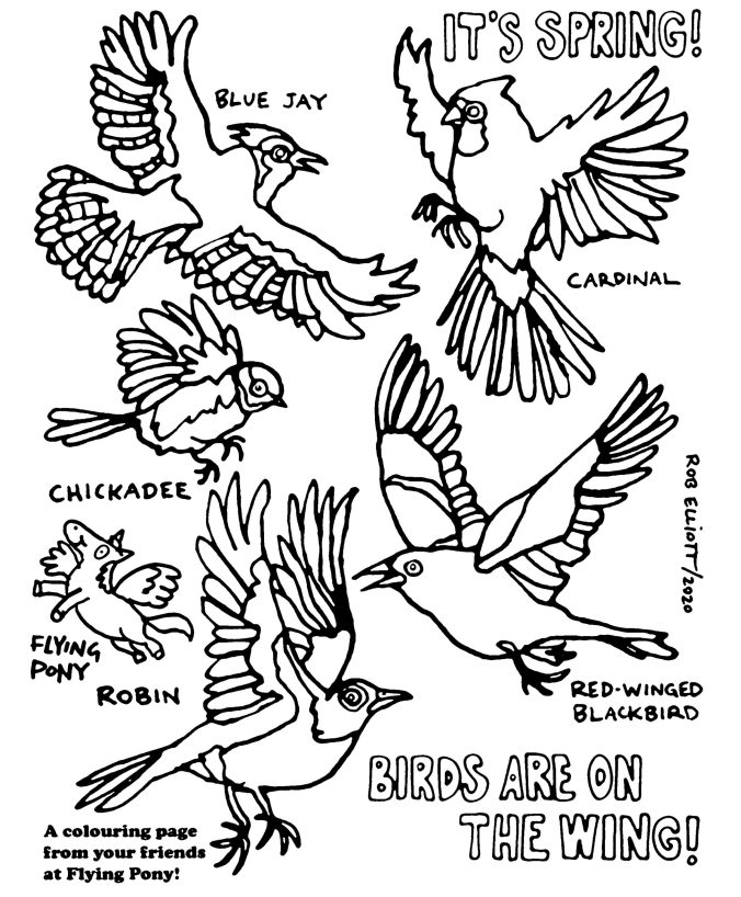 Springtime birds colouring page â swizzle studio