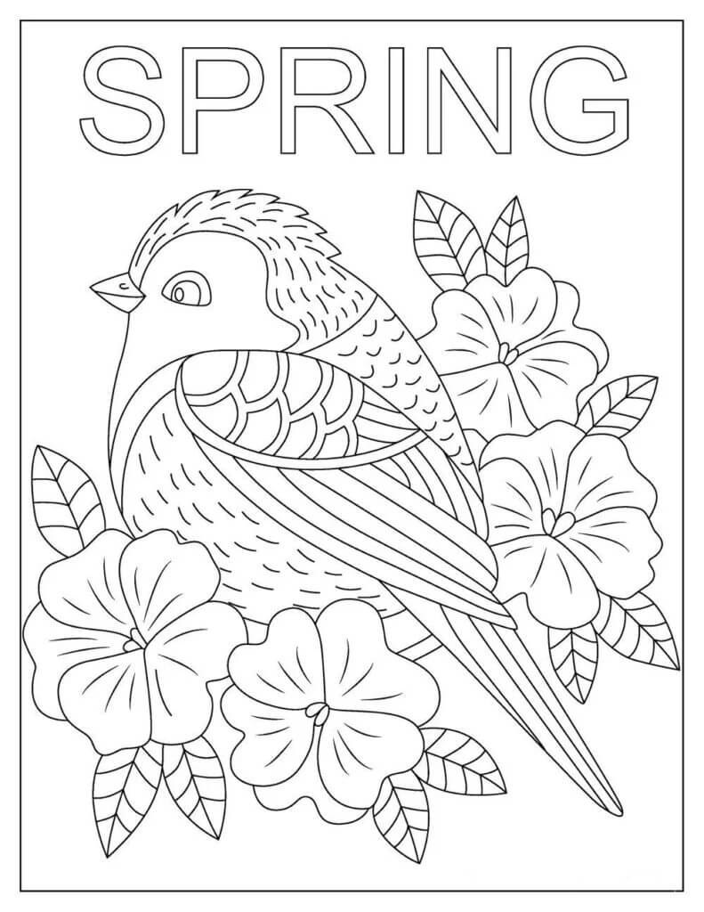 Bird with flowers in spring coloring page