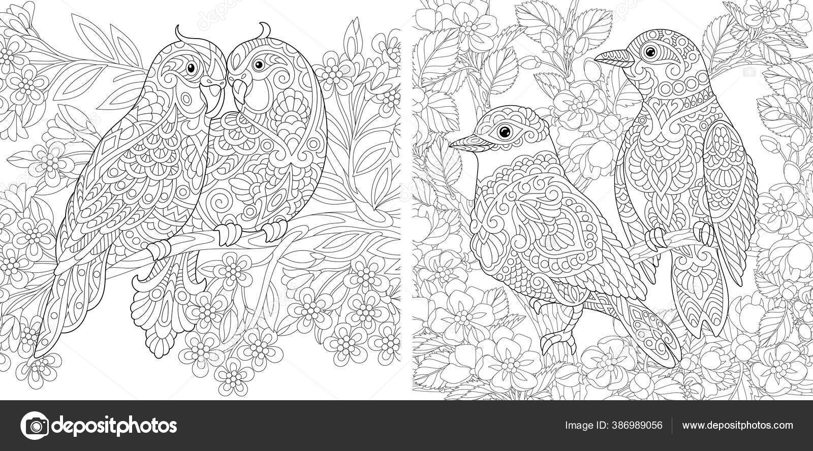 Coloring pages couple lovely birds spring flower garden line art stock vector by sybirko