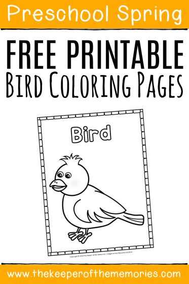 Free printable bird coloring pages