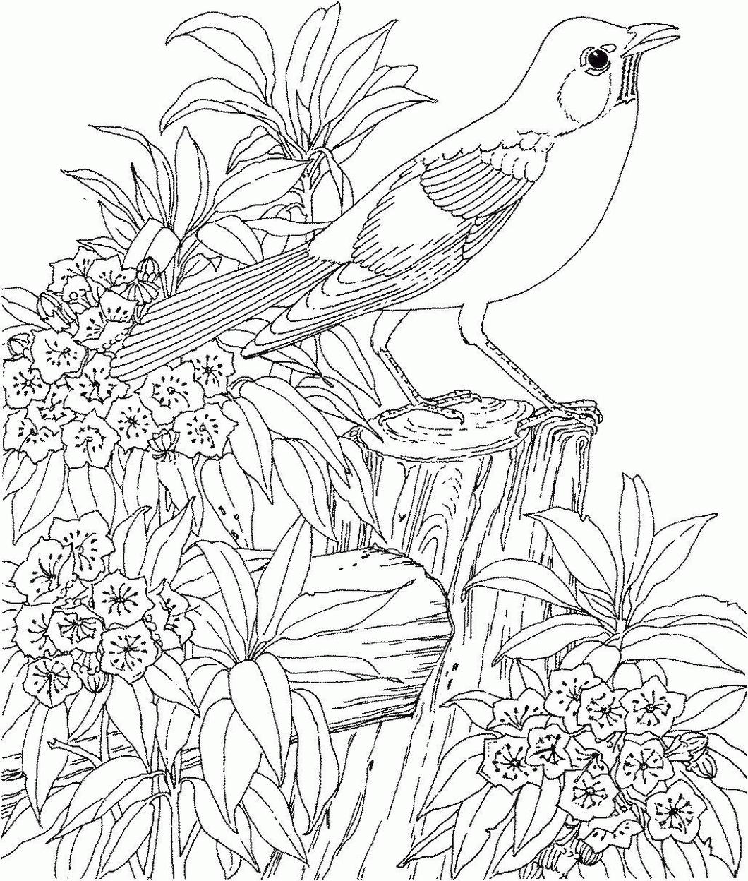 Get this spring adult coloring pages bird and blooming flowers in spring