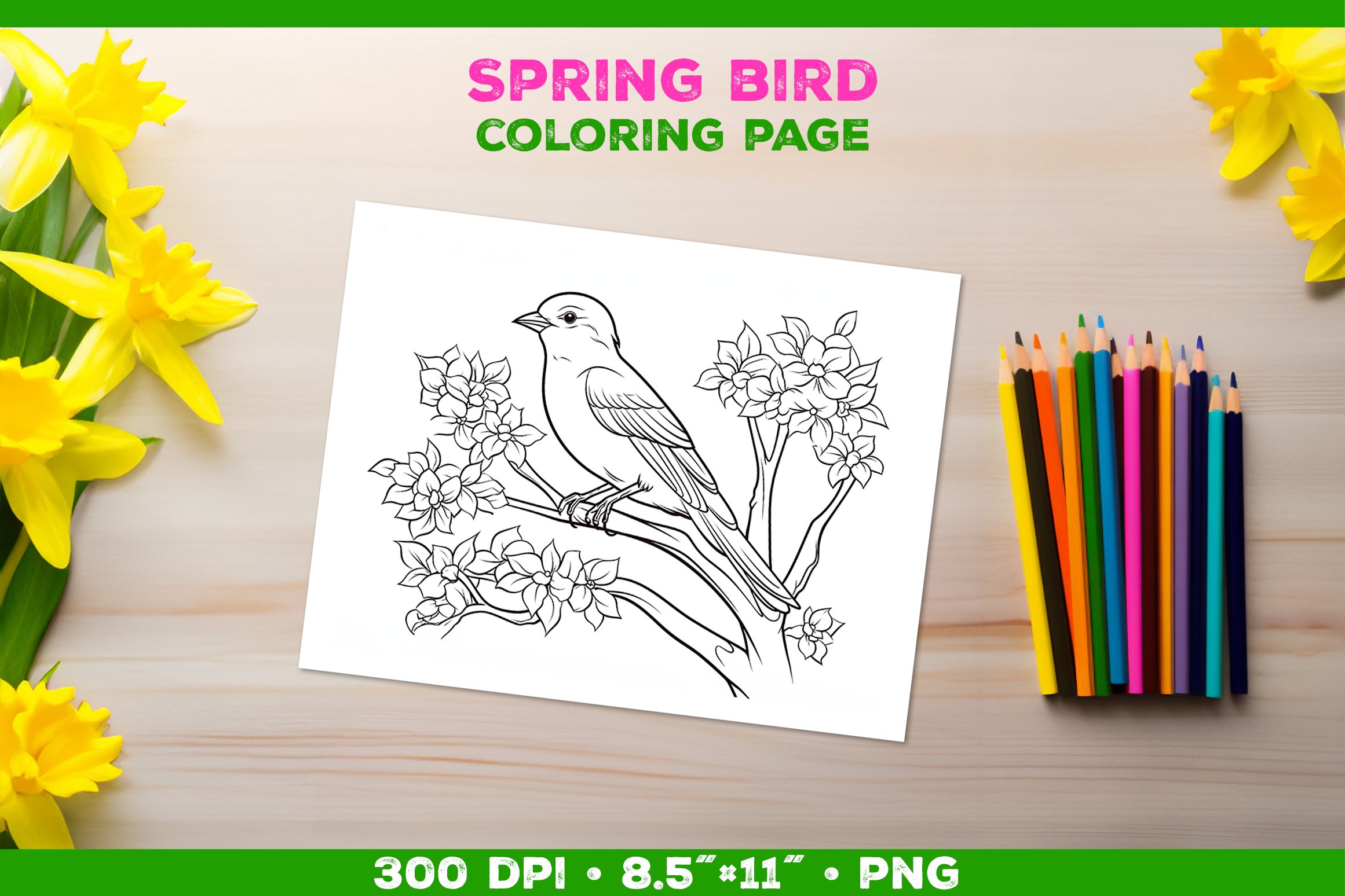 Kids simple coloring book page with bird in