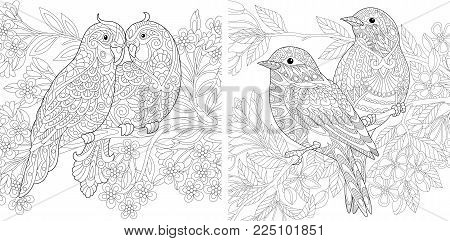 Coloring page adult vector photo free trial bigstock