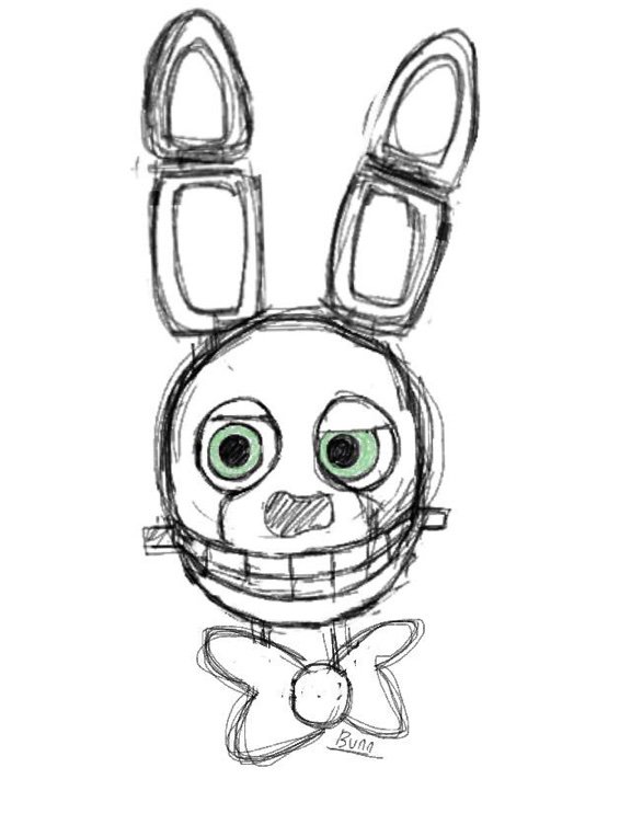 Spring bonnie five nights at freddys amino