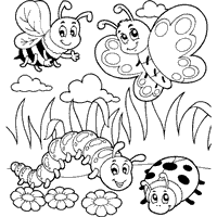 Four summer bugs coloring pages