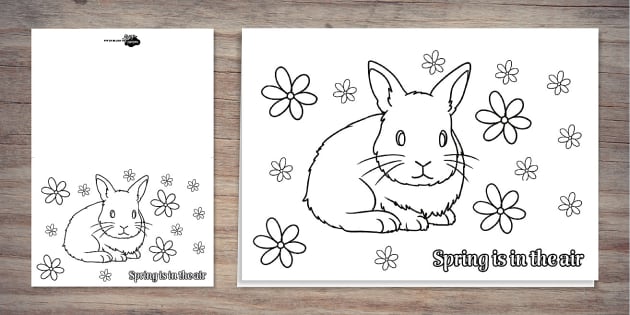 Baby rabbit spring colouring card party