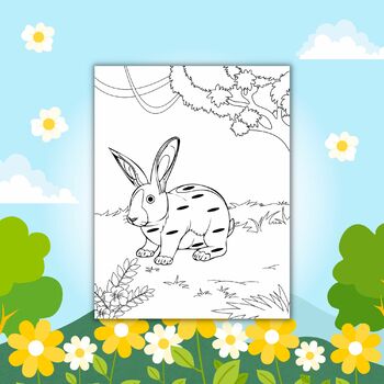 Printable spring bunny rabbit coloring pages sheets