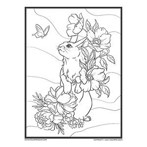 Bunny coloring pages