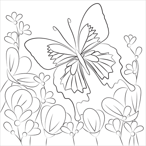 Butterfly coloring page free printable coloring pages