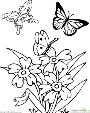 Butterfly worksheet education flower coloring pages spring coloring pages butterfly coloring page