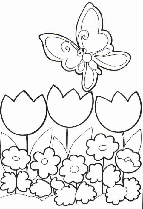 Colorg page butterflies butterflies butterfly colorg page flower colorg pages sprg colorg pages