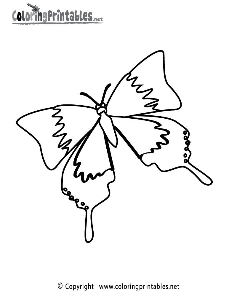 Spring butterfly coloring page