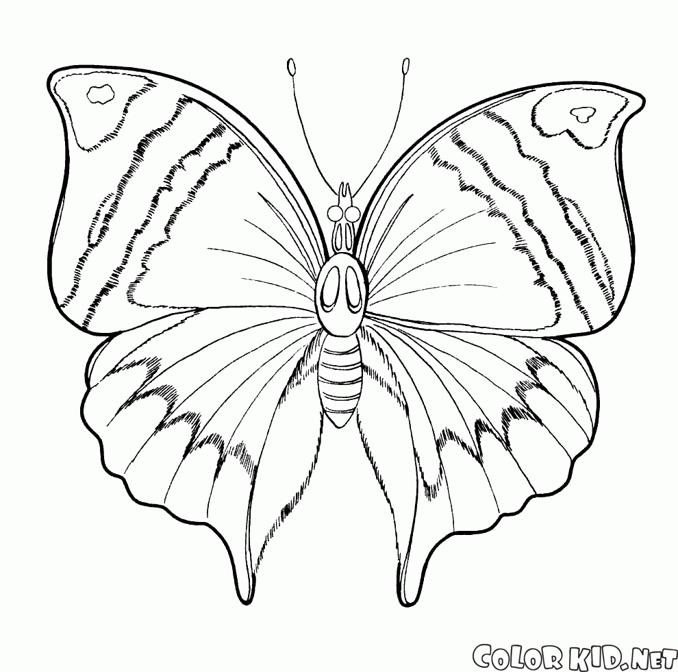 Coloring page