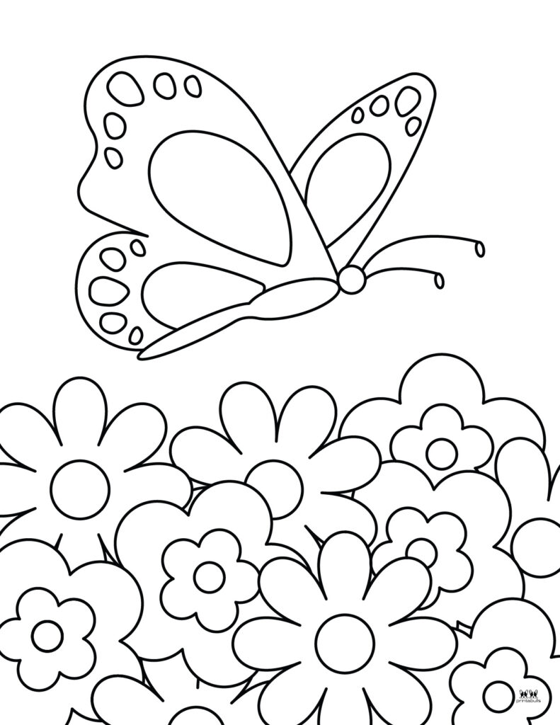 Butterfly coloring pages