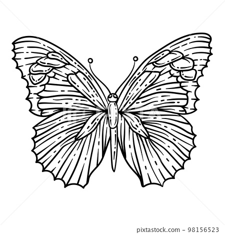 Butterfly spring coloring page for adults