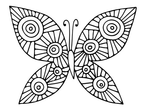 Butterfly coloring page images â browse photos vectors and video