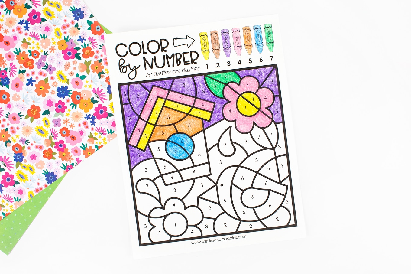 Spring coloring by number