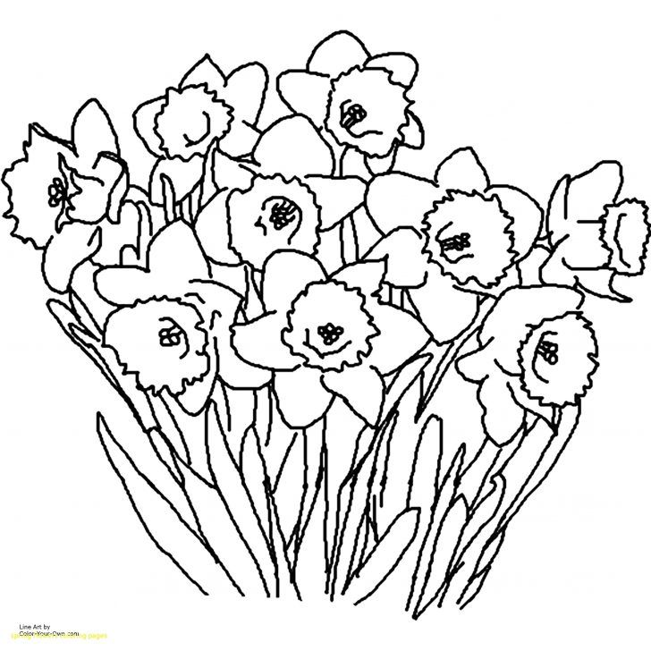 Creative photo of spring flowers coloring pages