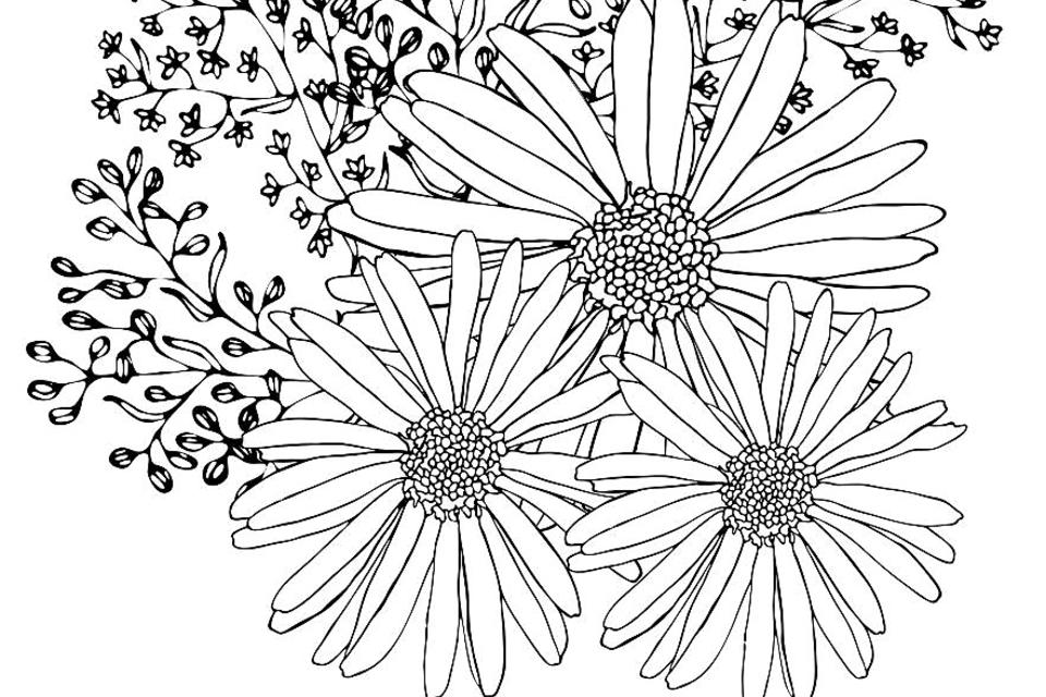 Spring flowers coloring pages free printable coloring pages of flowers for adults kids printables mom