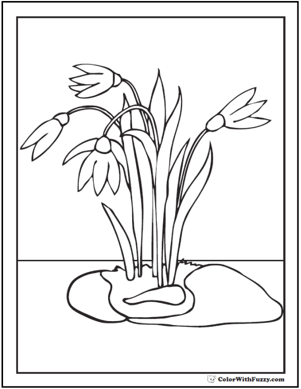 Spring flowers coloring page â spring digital downloads