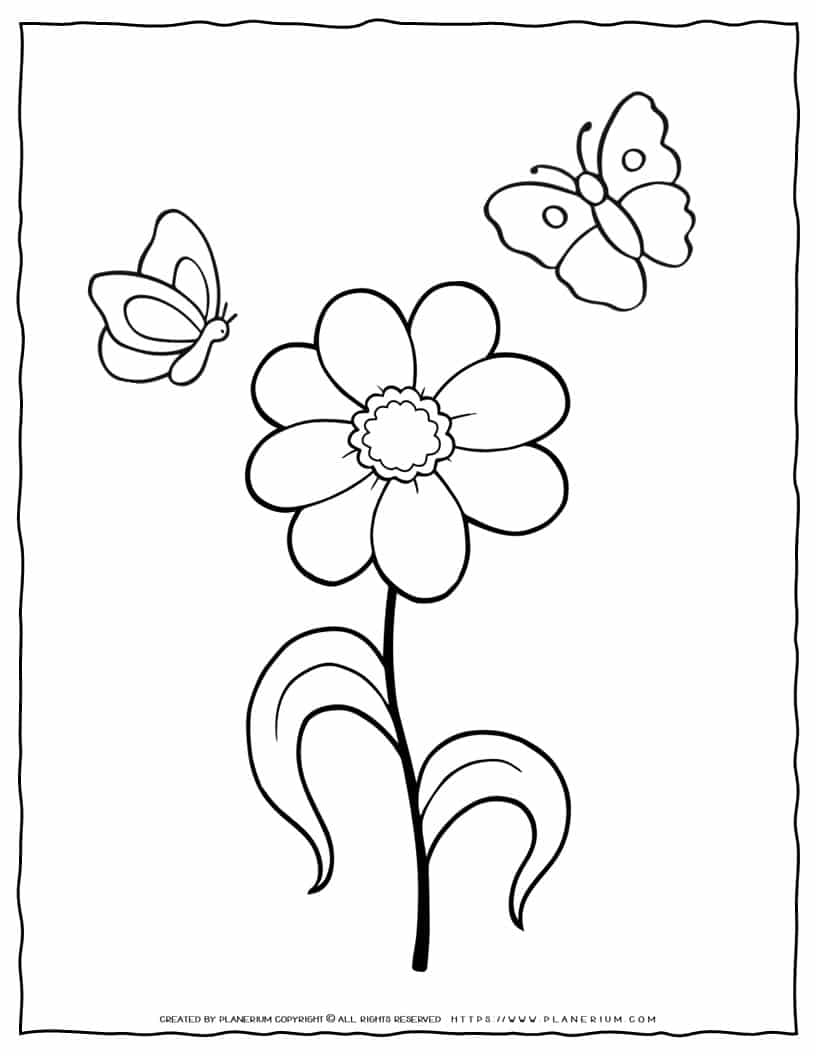 Flower coloring page