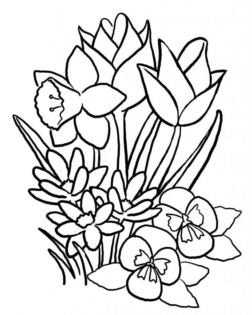 Free printable flower coloring pages for kids