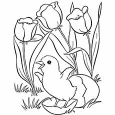 Top free printable spring coloring pages online