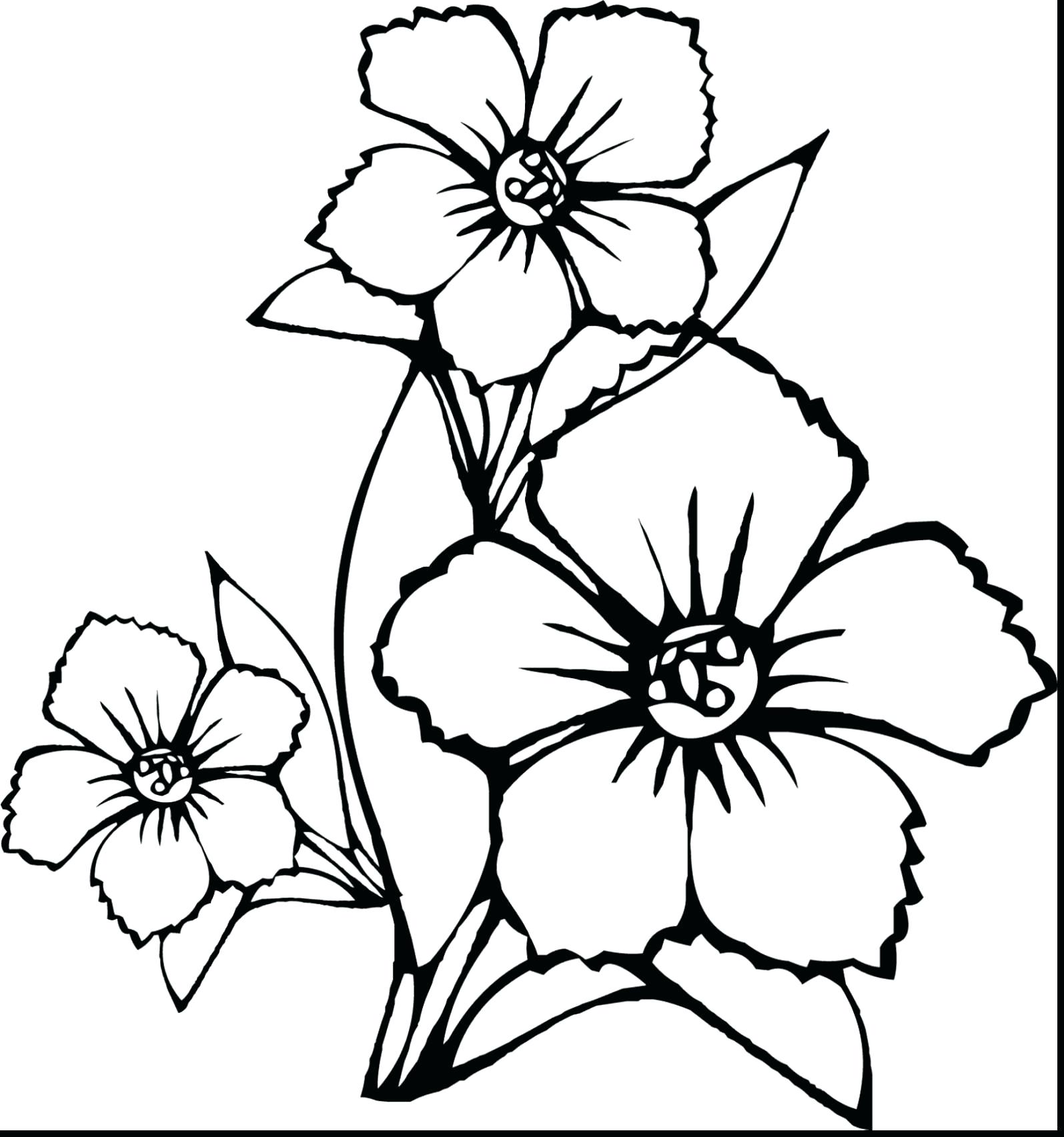 Coloring pages coloring sheet tremendous spring flower pages for kids free printable adults realistic