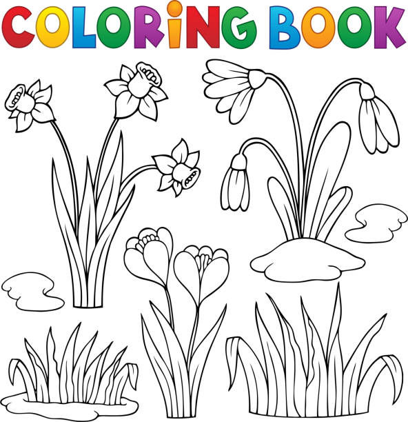 Coloring book early spring flowers set stock illustration