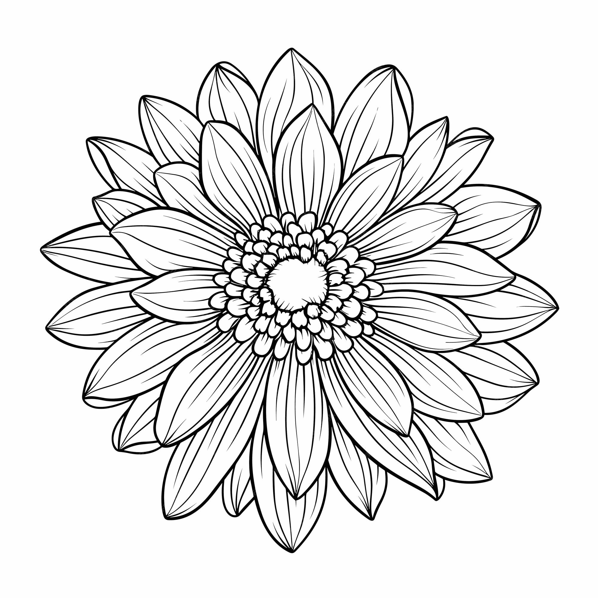 Premium vector spring flower isolated coloring page for kids printable floral black and white