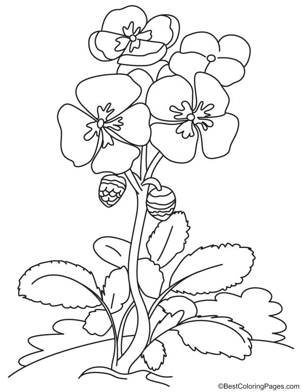 Spring flowers coloring page download free spring flowers coloring page for kids best coloring pages