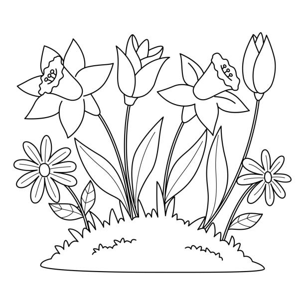 Spring tulip flowers isolated coloring page stock illustration