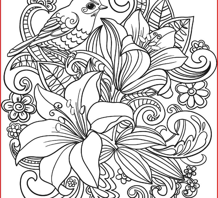 Creative photo of spring flowers coloring pages