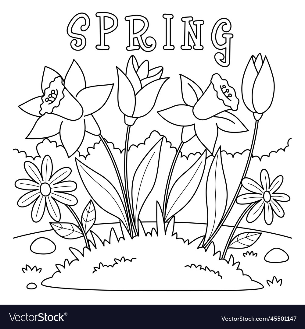 Spring tulip flowers coloring page for kids vector image