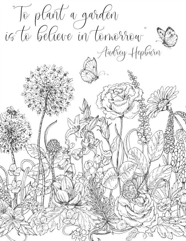 Spring coloring pages â garden inspired spring coloring pages garden coloring pages coloring pages