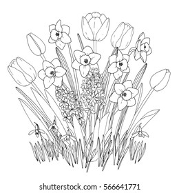 Hakuun spring flowers bouquet coloring book page liittyvã vektorikuva rojaltivapaa