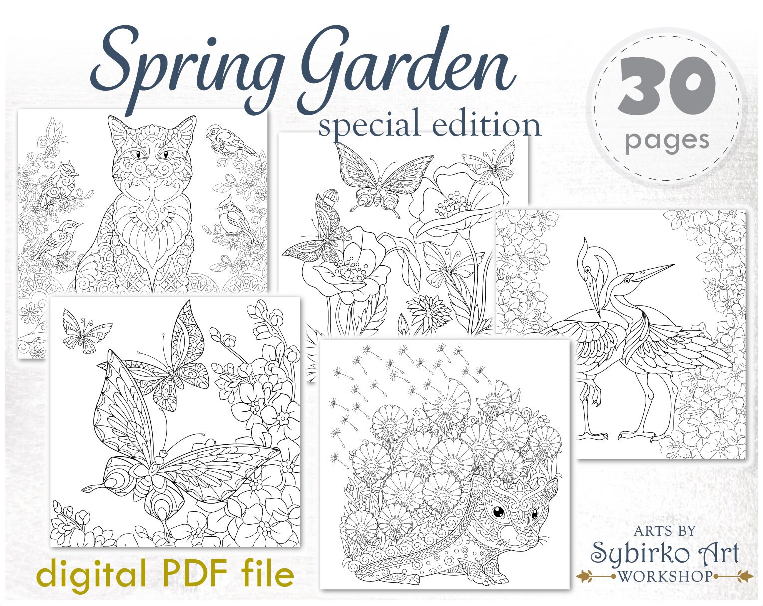 Spring flower garden coloring pages coloring book for adults or kids floral coloring bundle printable pdf coloring book instant download