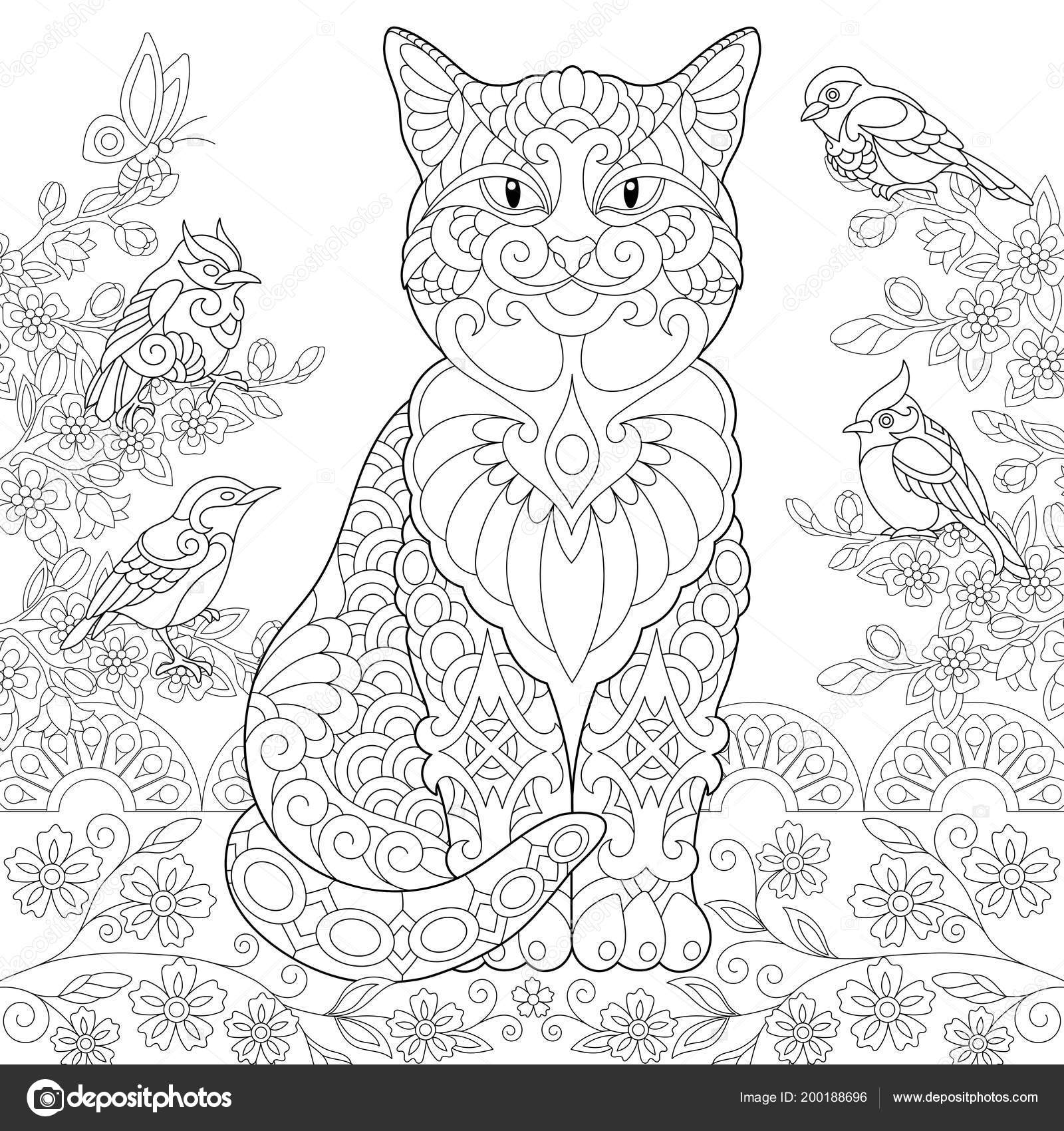 Cat spring birds garden coloring page colouring picture adult coloring stock vector by sybirko