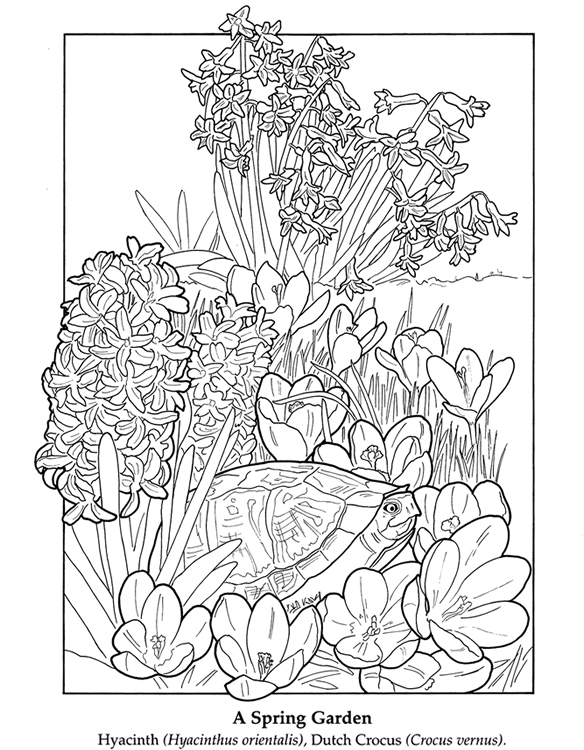 Wele to dover publications