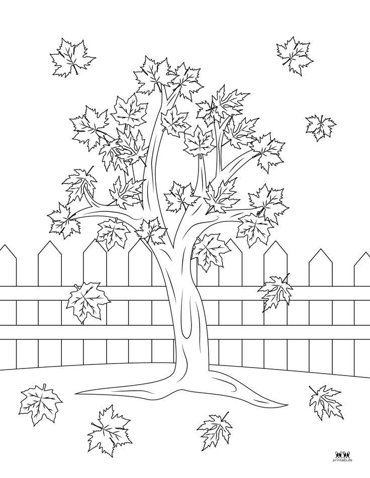 Leaf outlines templates coloring pages