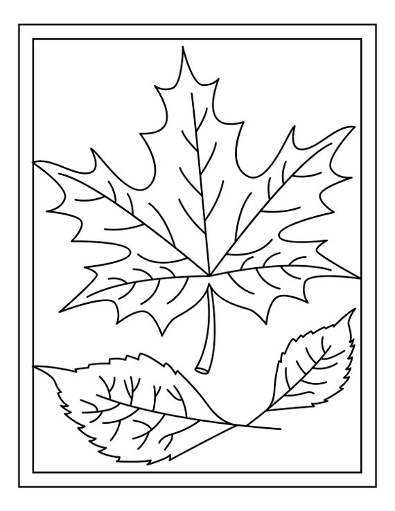 Autumn and spring coloring book sheets